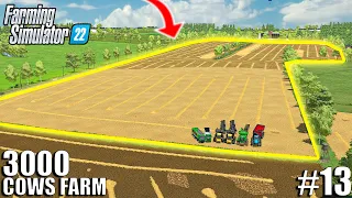 3000 COWS FARMER BUYS & HARVEST THE BIGGEST FIELD in THE REGION | Farming Simulator 22