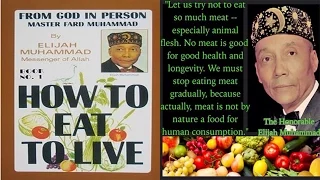 Eat To Live By Eating One Meal A Day