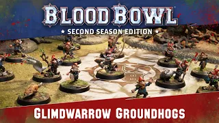 Gnome-where to Run! – Blood Bowl #Warhammer #BloodBowl