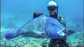 1 WEEK AT SEA: Spearfishing Our Food (B2B)