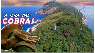 Visitamos a ILHA das COBRAS, a ilha mais Perigosa do  Mundo, com 5 cobras por Metro quadrado