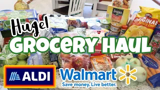 Huge Weekly Grocery Haul & Meal Plan | Aldi & Walmart