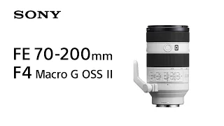 Introducing FE 70-200mm F4 Macro G OSS II | Sony | α Lens