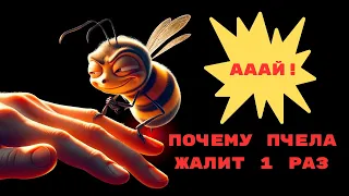 Вот почему пчелы жалят только один раз. Интересные факты о пчелах. Как живут пчелы