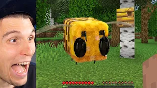 Paluten REAGIERT auf ULTRAREALISTISCHE BIENEN (Minecraft Memes)