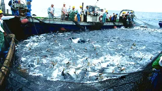 Everyone should watch this Fishermen's video. Big Net Catches Hundreds of Tons Of Fish On The Sea!!