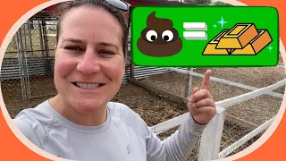 Composting Pig Manure Made Easy: Simple Techniques for Beginners