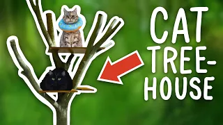 I Built A TREEHOUSE For My Cats! (NEW Catio)