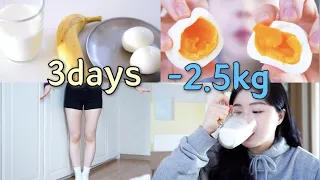 Diet｜🔥3일동안 -2.5kg｜단기간 다이어트 (feat.전효성님 다이어트)