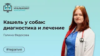 Кашель у собак  диагностика и лечение, лектор Галина Федосова