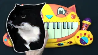 HOW TO PLAY MAXWELL THE CAT MEME SUPER EASY ON A CAT PIANO