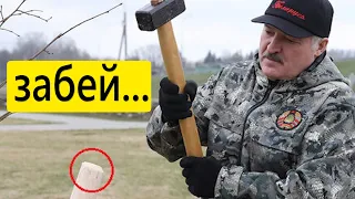 Новое лекарство от Лукашенко  / новости из Беларуси от Дануты Хлусни