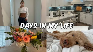 VLOG: Huge Grocery haul + Comfy athleisure clothing haul + New furniture | Rachel Autenrieth