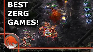 StarCraft 2: My Best Zerg Games for the WHOLE Year!