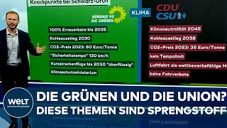 KOALITIONSPOKER NACH DER WAHL: Union und die Grünen - Diese Themen sind Sprengstoff