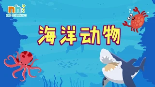 【Sing Along】Sea animals MV | 海洋动物 MV