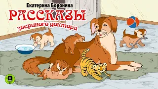 Е. БОРОНИНА «РАССКАЗЫ ЗВЕРИНОГО ДОКТОРА». Аудиокнига для детей. Читает Александр Котов