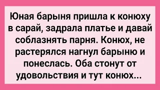 Юная Барыня и Конюх в Сарае! Сборник Свежих Смешных Жизненных Анекдотов!