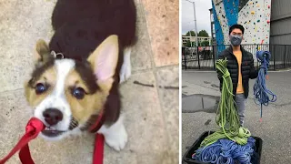 Hero Teen Upcycles Old Climbing Ropes for Dogs