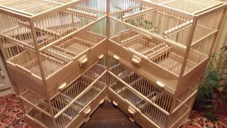 Cage for Canary