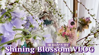 SUB)Florist VLOG: 오랜만에 업로드하는 플로리스트 일상 브이로그🌸 | 그동안 꽃집 일상을 올리지 않은 이유 | 꽃다발 포장 | 센터피스 만들기 | 꽃집 일상