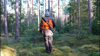 Älgpremiär i Småland med Nicklas Karlsson