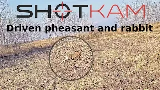 Shotkam 2018 - Driven hunt collection / загнанная охота