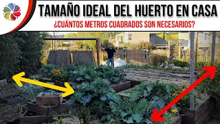 🌱 Cuál es el TAMAÑO IDEAL del HUERTO | Superficie MÍNIMA, MÁXIMA y como hacer que rinda más.