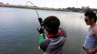 Awesome Fishing !! Arapaima !! Mekong Catfish !!! - China Anglers with Bkk Fishing Tour- BKKGUY