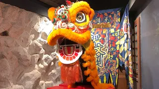 Summer dream in Foshan, Naengmyeon, HEA lion dance museum | China VLOG