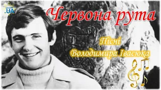 ЧЕРВОНА РУТА - ПІСНІ ВОЛОДИМИРА ІВАСЮКА