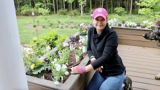 Colorful Full Sun Planting with New Annuals | Gardening with Creekside