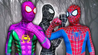 TEAM SPIDER-MAN Nerf War vs BAD GUY TEAM In Real Life  ( ALL Aciton Story ) || SEASON 3 - SPLife TV