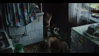 Chernobyl Episode 4 Scene | HBO | Pets Liquidation