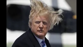 Причёска Трампа/Trump's Hairstyle/America