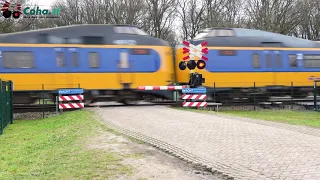 Spoorwegovergang Hoogeveen 😍4K😍 // Dutch railroad crossing
