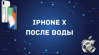 iphone Х не включается после воды/ Диагностика