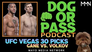 UFC Vegas 30 Picks, Bets, Predictions | Gane vs Volkov Fight Previews