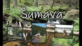 Dodávkou na cestách | Šumava - co vynechat a co je dobré vědět