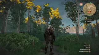 The Witcher 3: Winds Howling