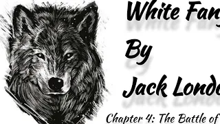 Whtie Fang, Part 2, Chapter 1, The Battle of the Fangs by Jack London