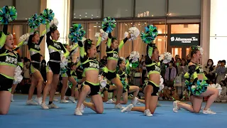 チアリーディングのパフォーマンス【6of6】Japanese cheerleading performance