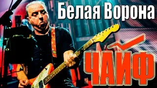 ЧАЙФ - БЕЛАЯ ВОРОНА (г. Орёл) LIVE