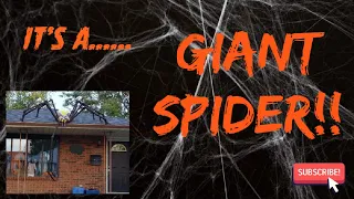 DIY Giant Spider Halloween Prop