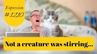 Learn English: Daily Easy English 1210: Not a creature was stirring