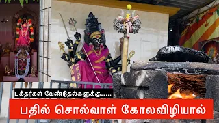 மலேசியாவில் கோலவிழியம்மனுக்கான ஒரே கோயில் | Kolaviliamman Temple Butterworth