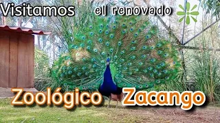 Recorrido por Zacango