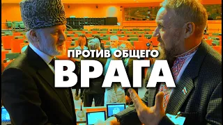 Против общего врага. Граждане ЧРИ и Беларуси в поддержку Украины