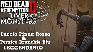 LUCCIO PINNA ROSSA & PERSICO BRANCHIE BLU LEGGENDARIO | RDR2 River Monsters