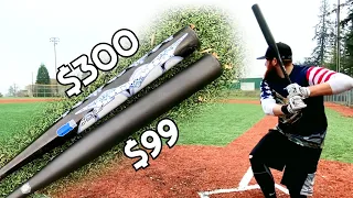 The CHEAPEST Slowpitch Softball Bat vs. The MOST EXPENSIVE Slowpitch Softball Bat